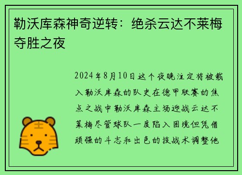 勒沃库森神奇逆转：绝杀云达不莱梅夺胜之夜