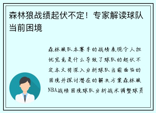森林狼战绩起伏不定！专家解读球队当前困境
